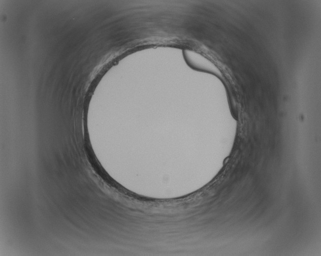 X0000078280011200612011755