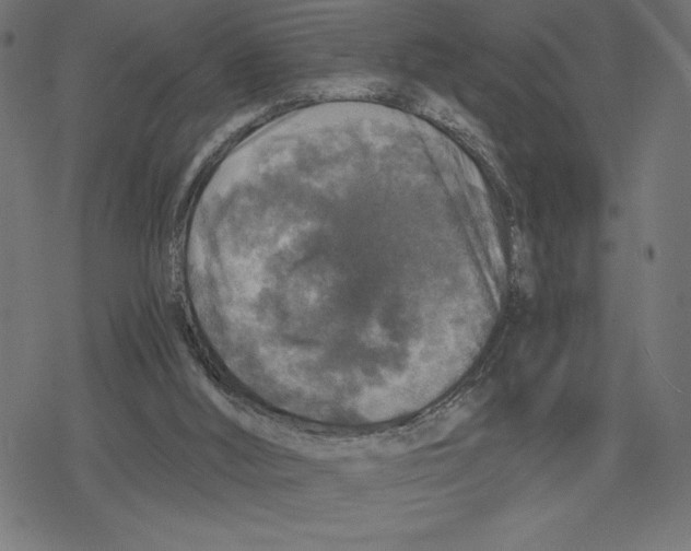 X0000078280012200612011755