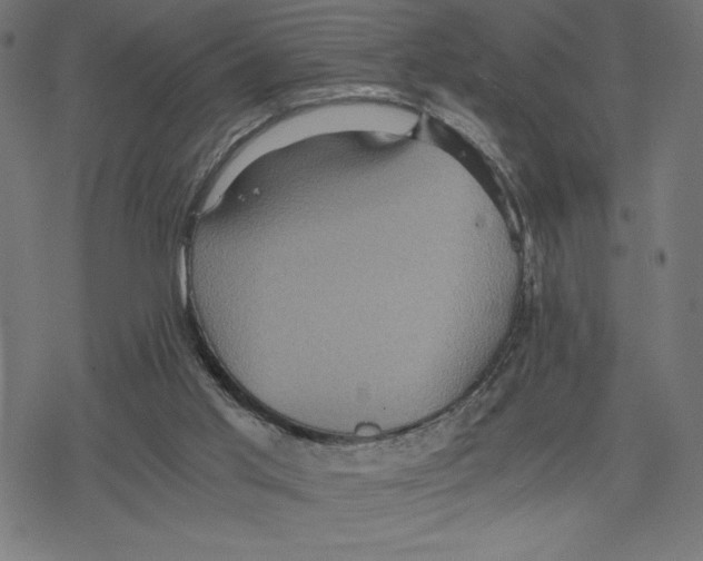 X0000078280013200612011755