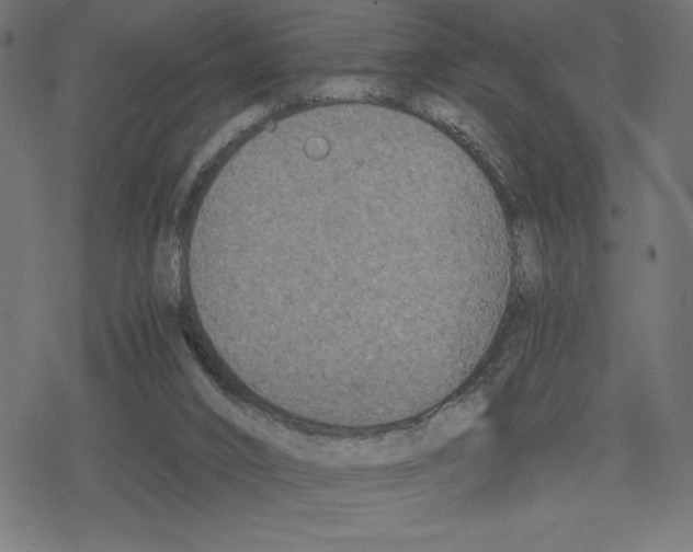 X0000078280016200612011755