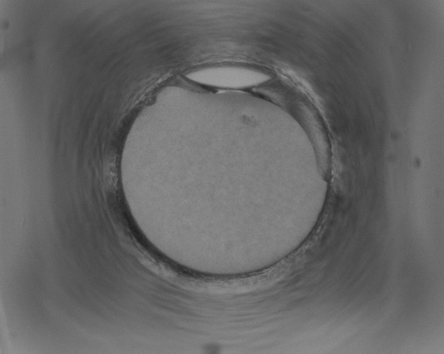 X0000078280017200612011755