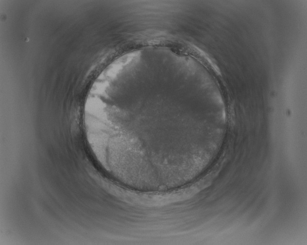 X0000078280018200612011755