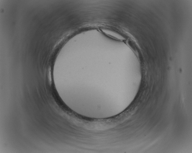 X0000078280020200612011755