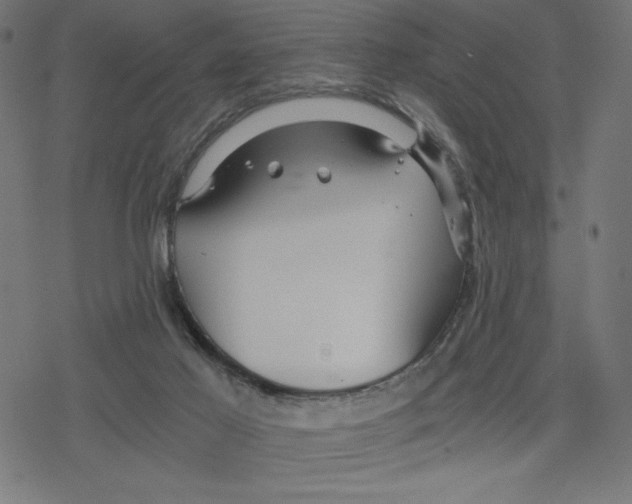 X0000078280021200612011755