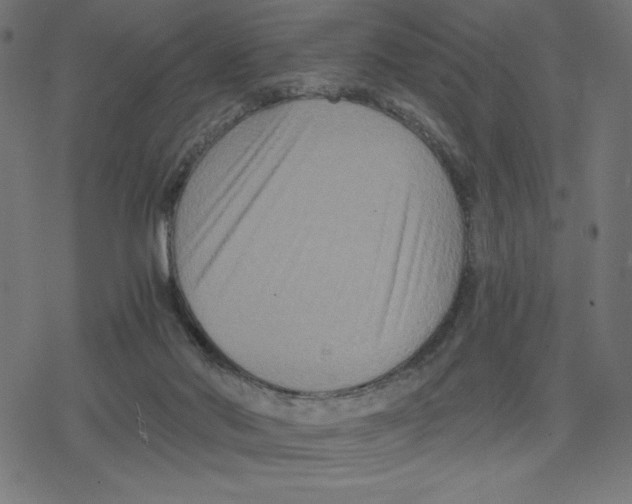 X0000078280022200612011755