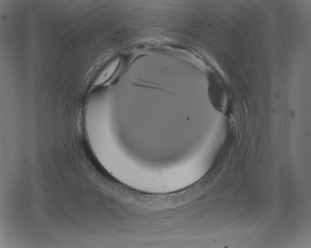 X0000078280023200612011755