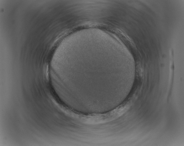 X0000078280024200612011755