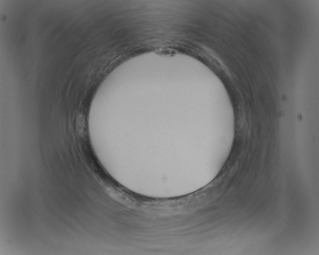 X0000078280025200612011755