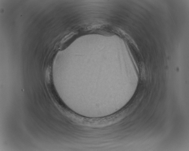 X0000078280026200612011755