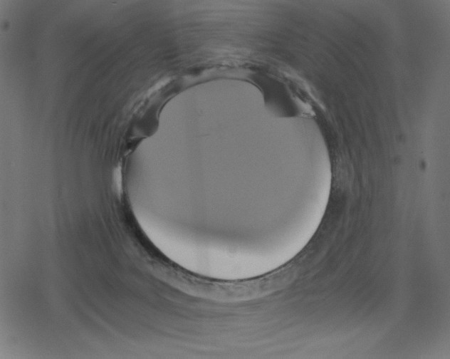 X0000078280027200612011755