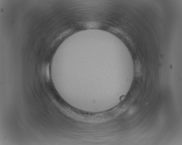 X0000078280028200612011755