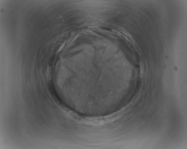 X0000078280029200612011755