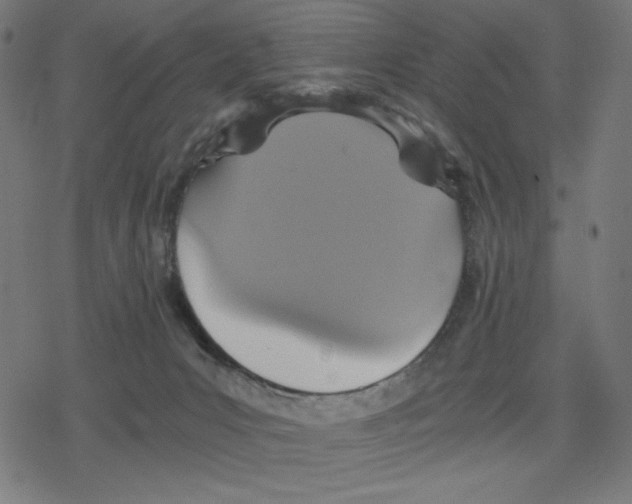 X0000078280031200612011755