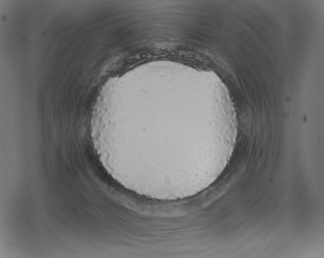 X0000078280032200612011755