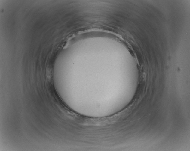 X0000078280033200612011755