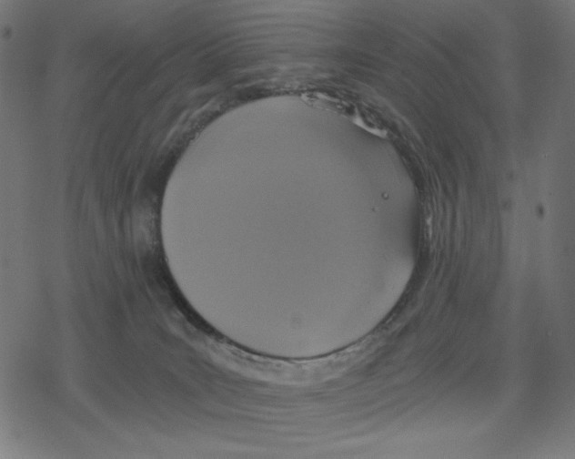 X0000078280035200612011755