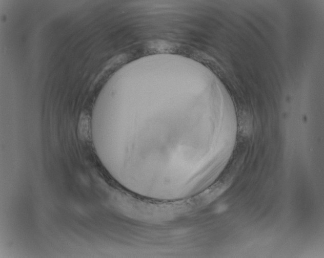 X0000078280036200612011755