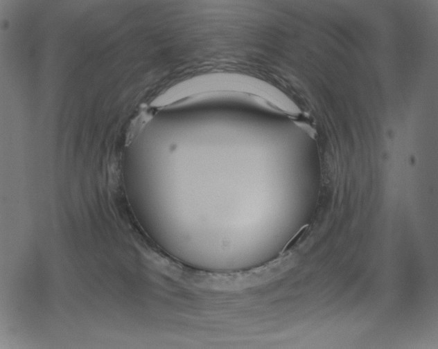 X0000078280037200612011755