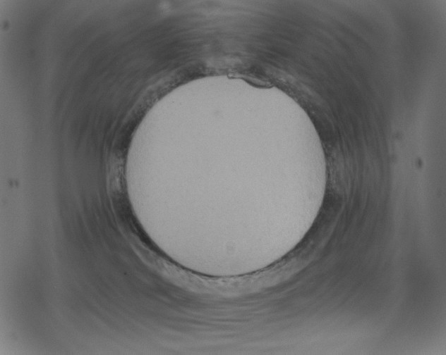 X0000078280038200612011755