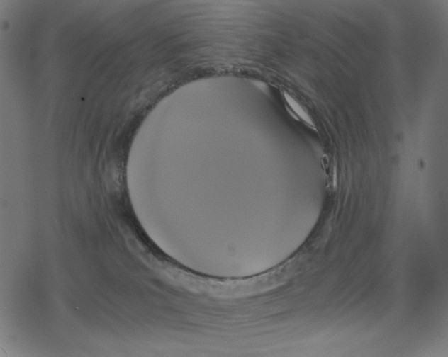 X0000078280039200612011755