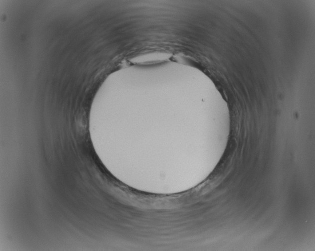 X0000078280040200612011755