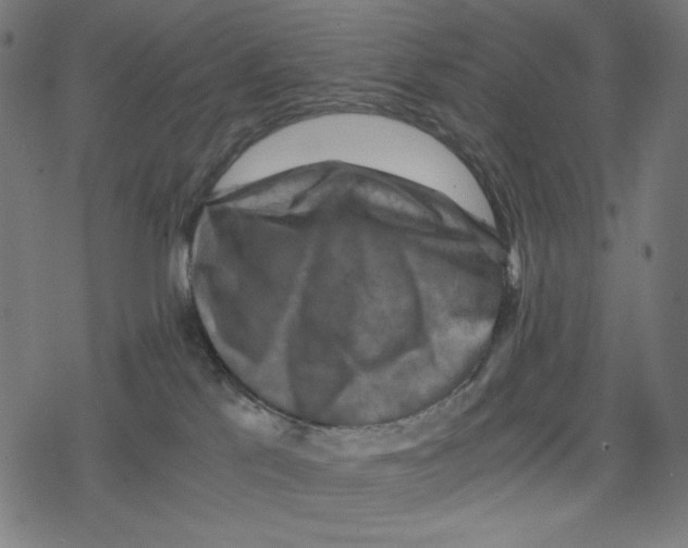 X0000078280041200612011755