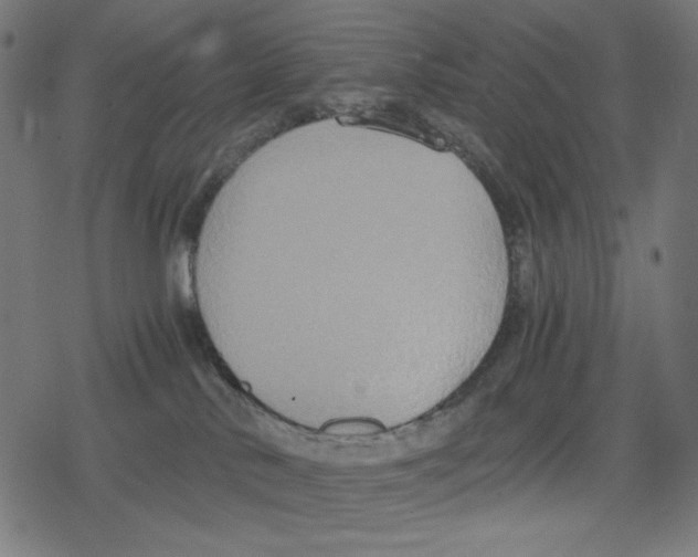 X0000078280042200612011755