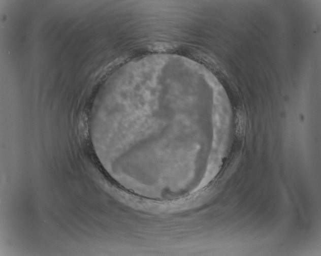 X0000078280043200612011755