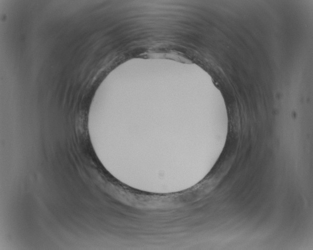 X0000078280044200612011755