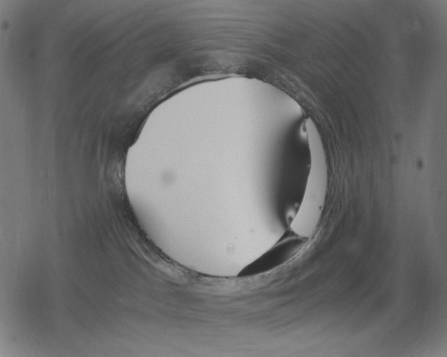 X0000078280045200612011755