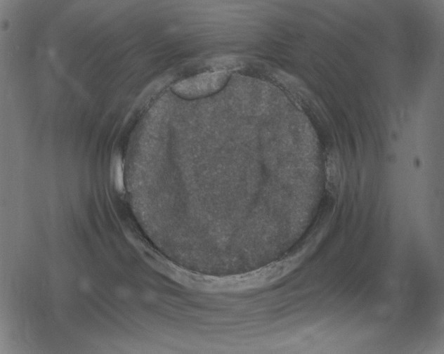 X0000078280046200612011755