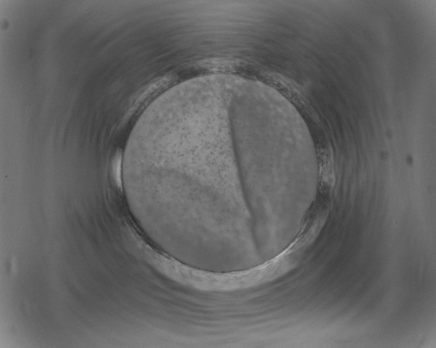 X0000078280047200612011755