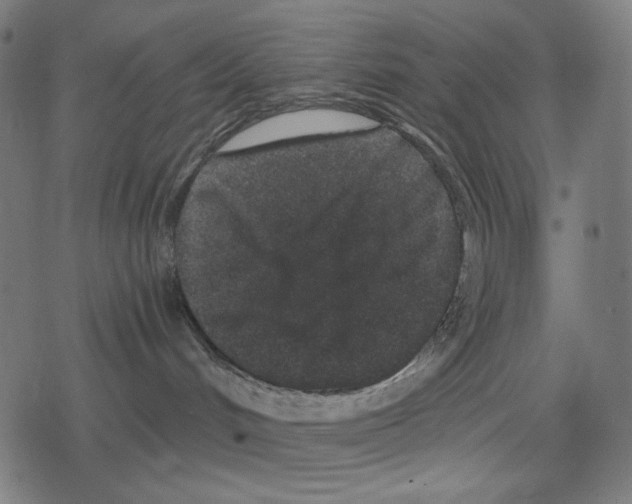 X0000078280048200612011755