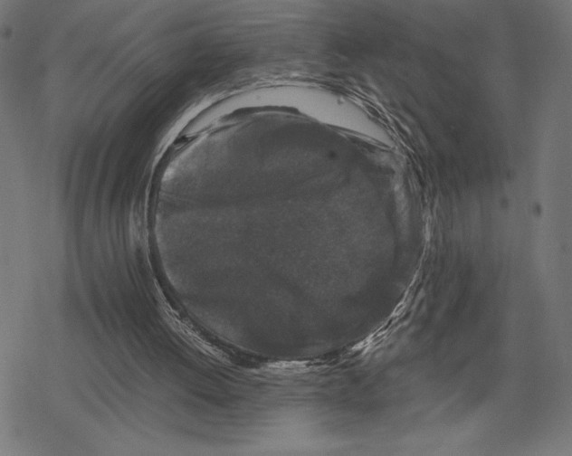 X0000078280052200612011754