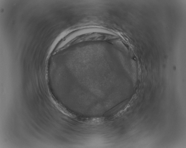 X0000078280056200612011754