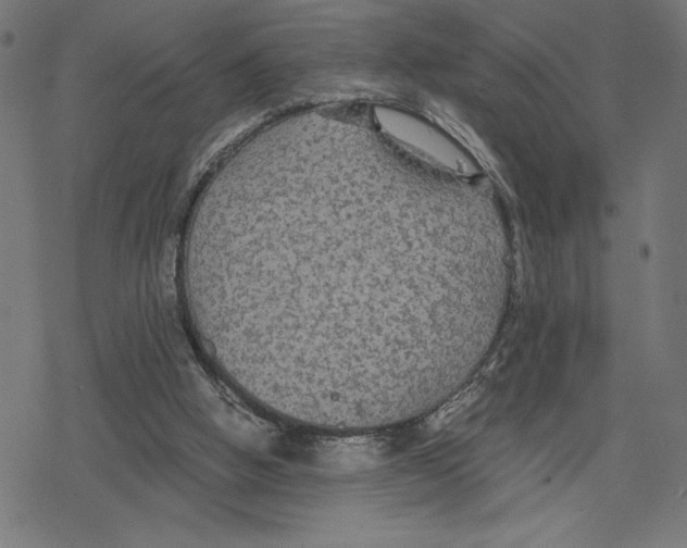 X0000078280058200612011754