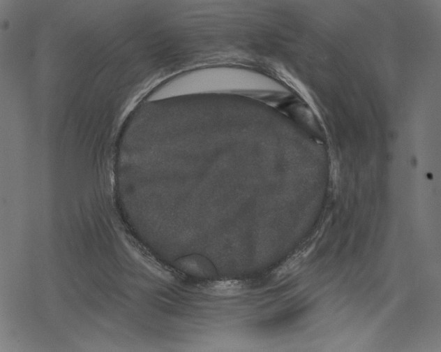 X0000078280059200612011754