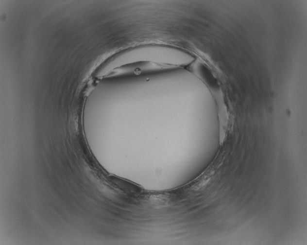 X0000078280060200612011754