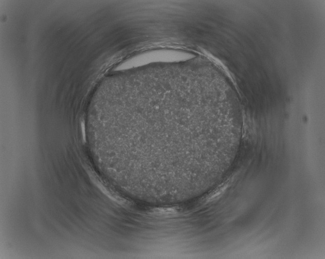 X0000078280061200612011754