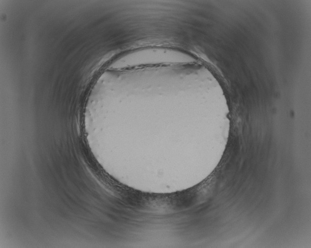 X0000078280062200612011754