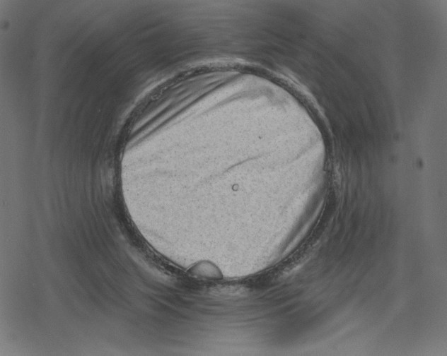 X0000078280063200612011754