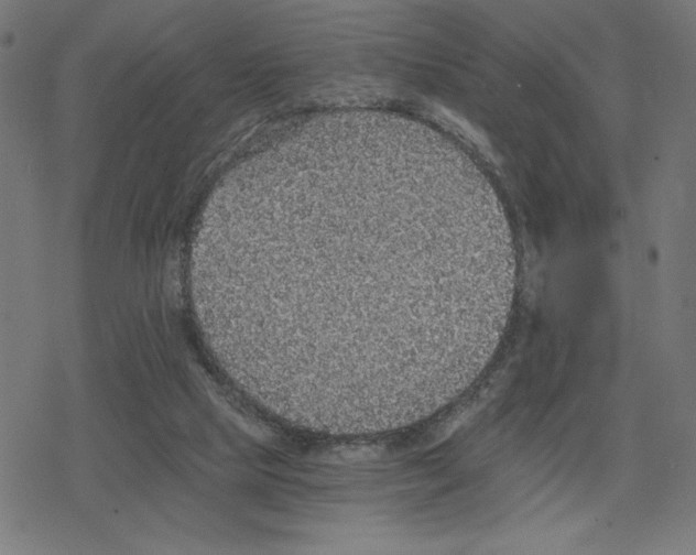 X0000078280065200612011754