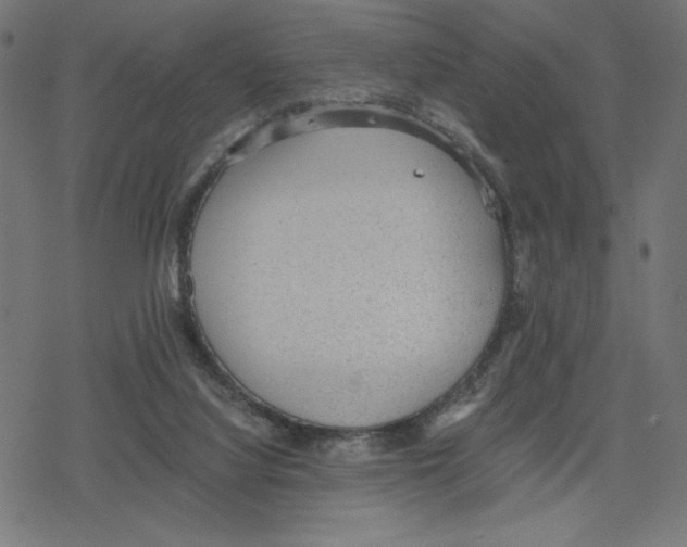 X0000078280068200612011754