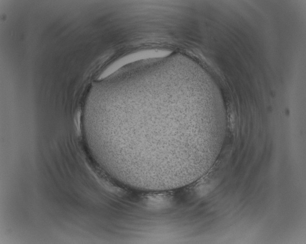 X0000078280070200612011754