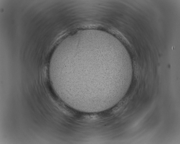 X0000078280071200612011754