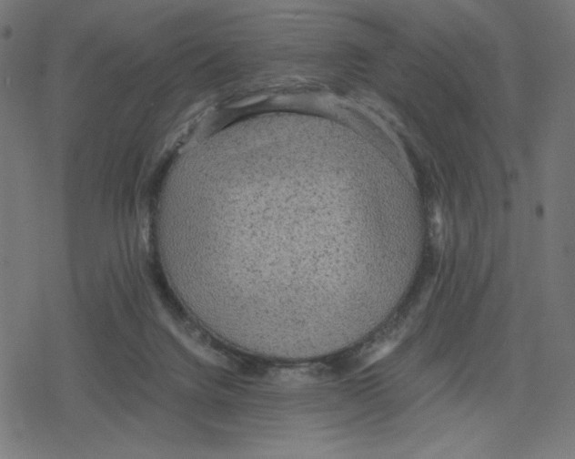 X0000078280072200612011754