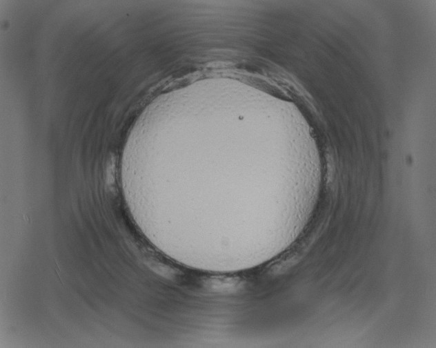 X0000078280073200612011754