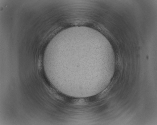 X0000078280074200612011754