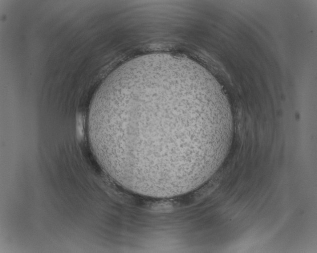 X0000078280075200612011754