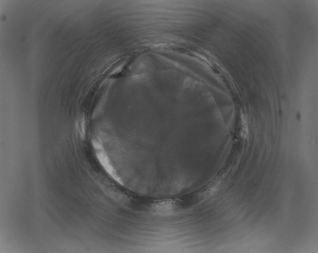 X0000078280076200612011755